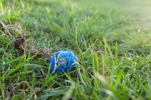 Blue tennis ball in the grass. Lost dog toy. Slovakia