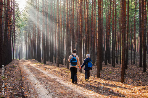 mother and son stroll through the fabulous pine forest into the light,Mother and baby walk on country rural road in pine forest