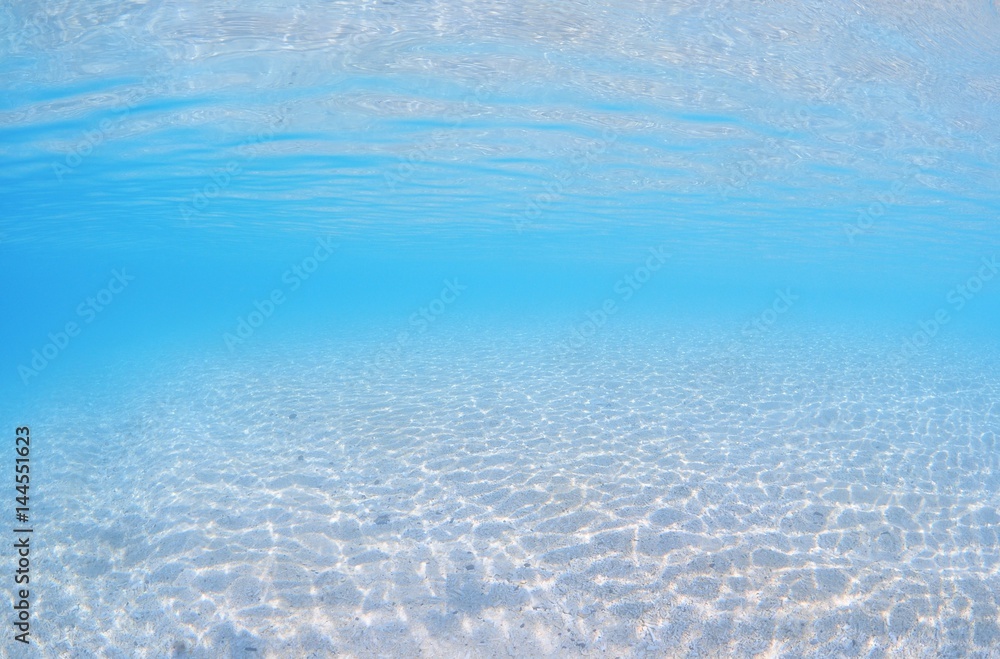 Obraz premium きらきらビーチ