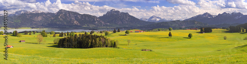 Panorama Landschaft mit Blumenwiesen im Frühling im Allgäu bei Füssen