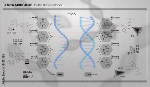 HUD infographic elements with DNA structure. Futuristic user interface. Abstract virtual graphic.