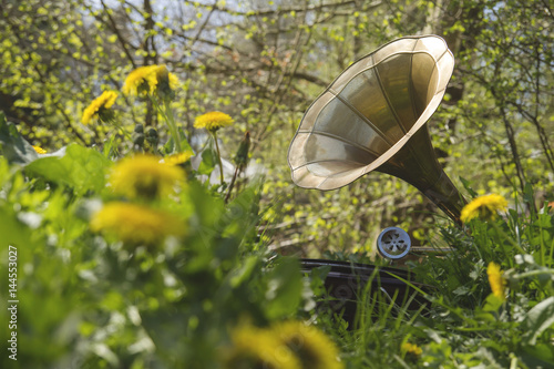vintage gramophone in the garden grass among the wild flowers