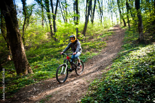 Fototapeta Naklejka Na Ścianę i Meble -  man ride mountain bike through forest