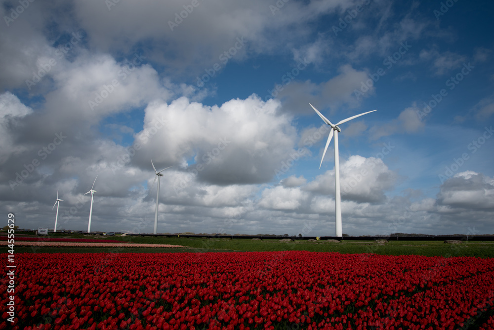windmill in the fields with flowers in the foreground