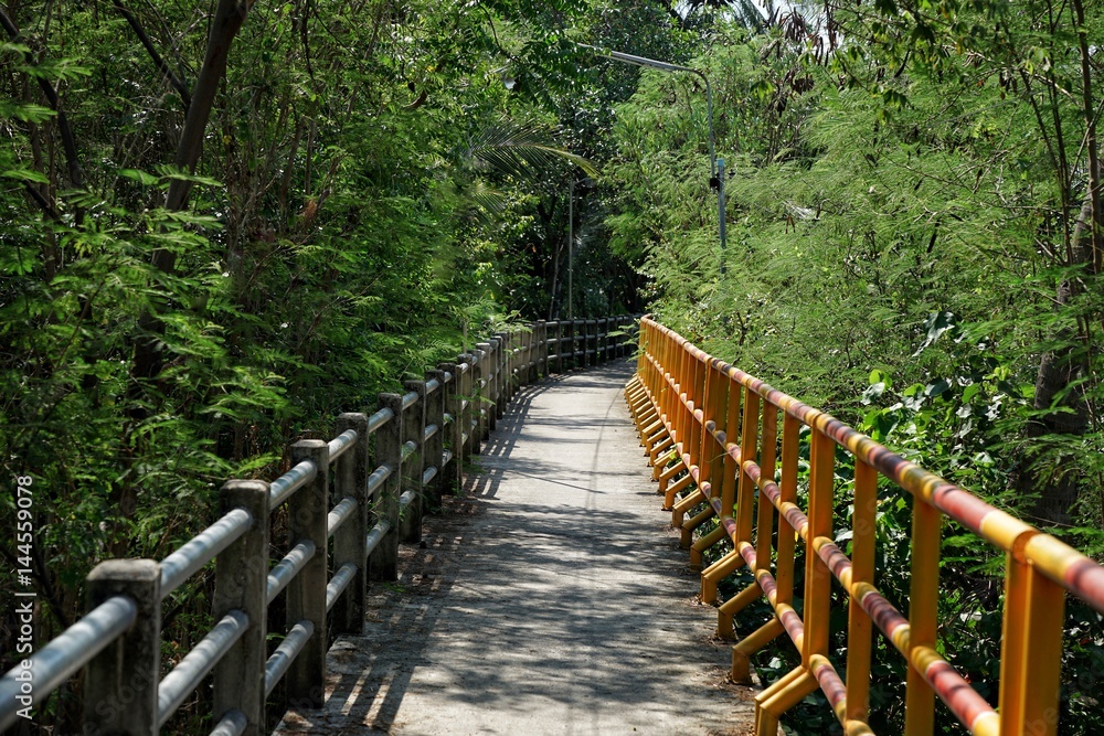 Boardwalk in tropical forest