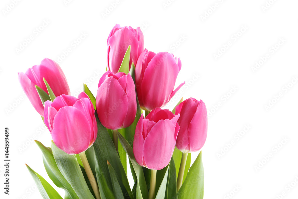 Bouquet of pink tulips on a white background Bouquet of pink tulips on a white background
