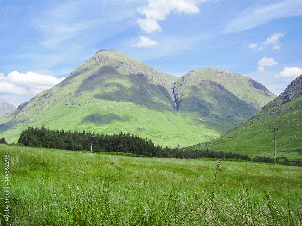 Fototapeta premium Scotland nature in summer