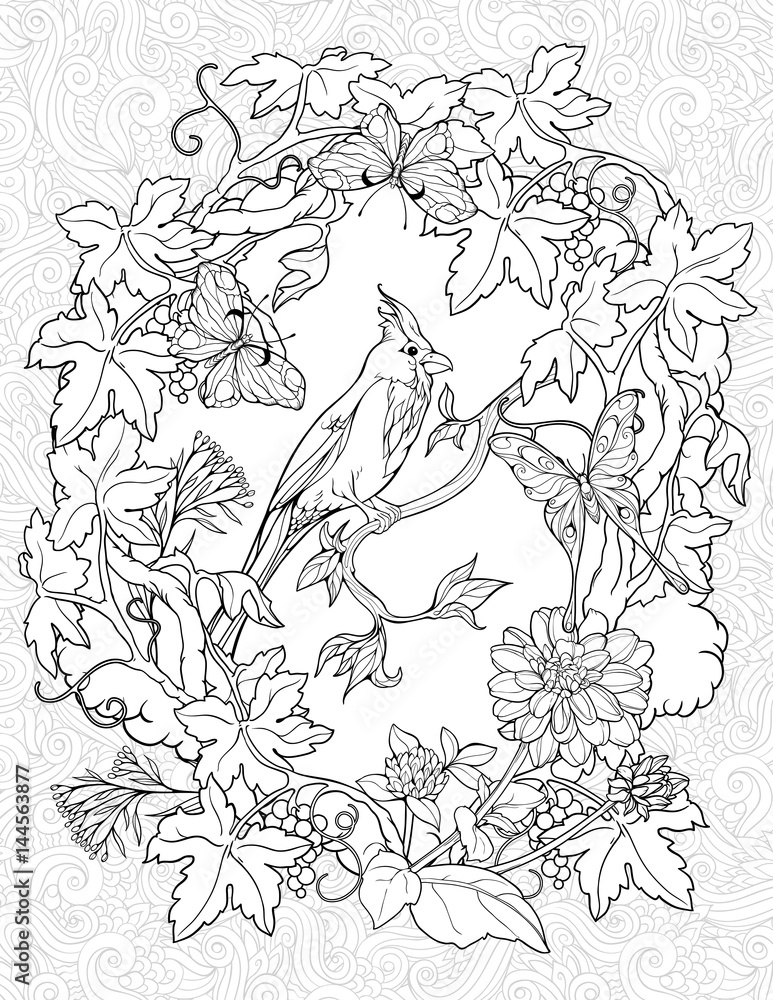 coloring page with butterflies and a small bird