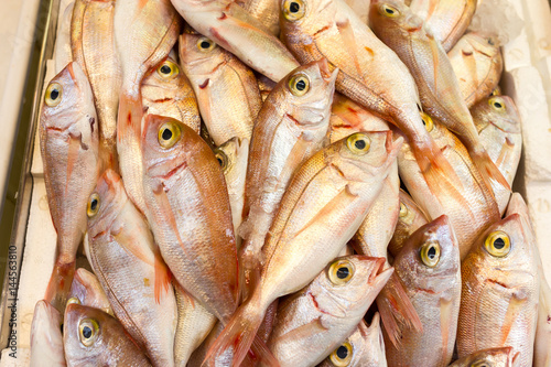Sea fish on market stalls