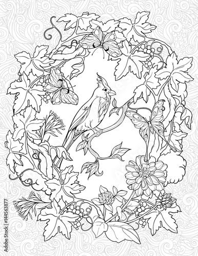 coloring page with butterflies and a small bird