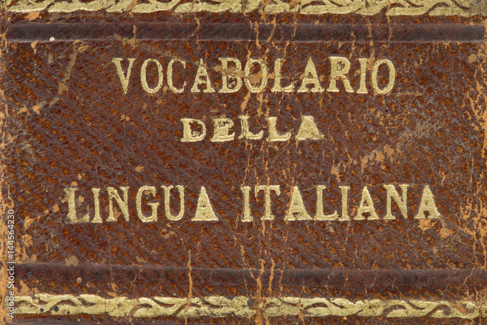Fototapeta premium old italian dictionary closeup