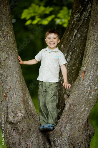 boy climbs big tree in park © Aliaksei Lasevich