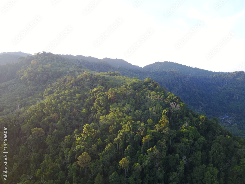 Aerial drone photo of rainforest and mountains in Thailand