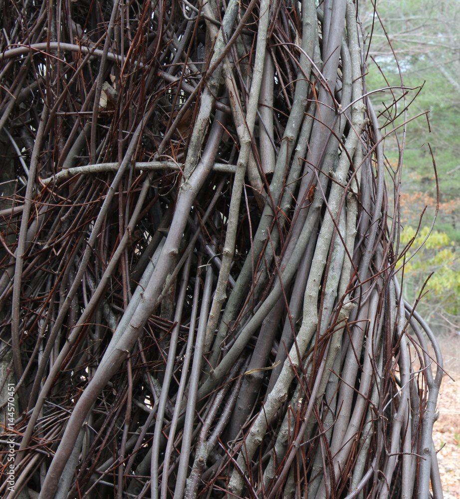 Twisted branches column background
Twisted branches column background