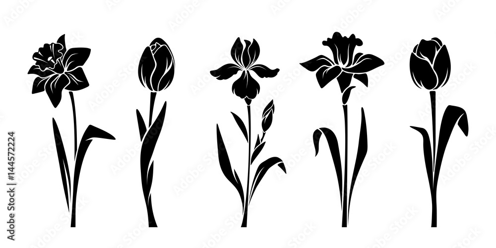 Naklejka premium Wektor czarne sylwetki wiosennych kwiatów (tulipany, narcyz i irys) na białym tle na białym tle.