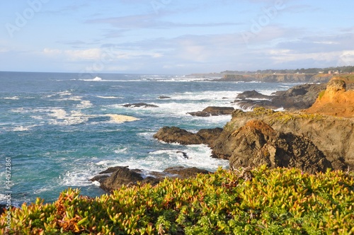 Mendocino Coast 4