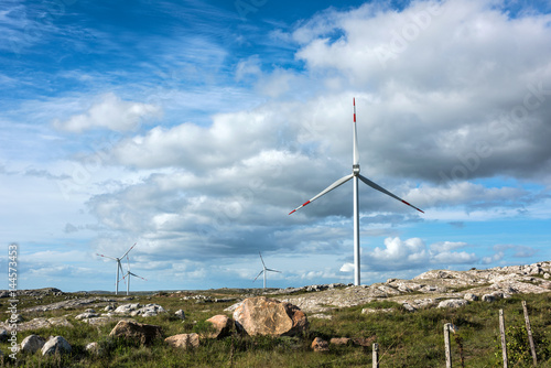 Windmills on the Sierra Carape in the Maldonado Department, Uruguay photo