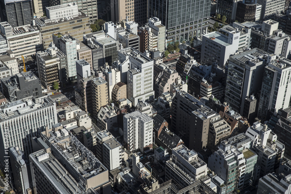 Fototapeta premium Looking down on New York