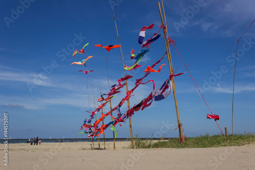 flying kite on the beach