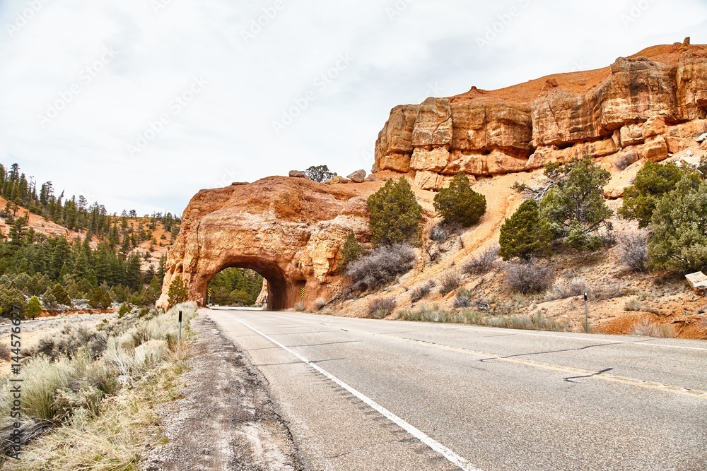 Incredibly beautiful landscape in Bryce Canyon National Park, Utah, USA. Incredibly beautiful landscape in Bryce Canyon National Park, Utah, USA.
