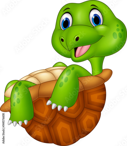 Cartoon turtle relaxing isolated on white background