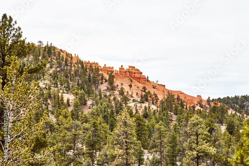 Incredibly beautiful landscape in Bryce Canyon National Park  Utah  USA.