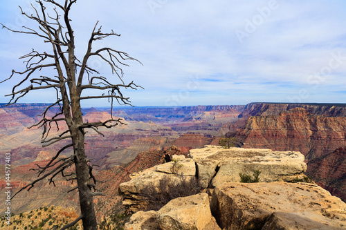 Grand Canyon vista © Fotoluminate LLC