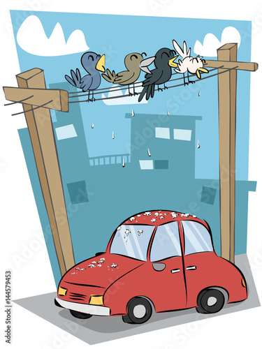 Bird droppings on car.