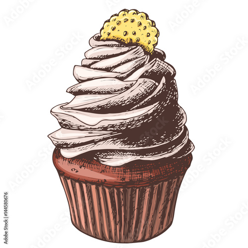 Hand drawn chocolate cupcake with cookie, vintage colorful food sketches, isolated on white background. Vector illustration