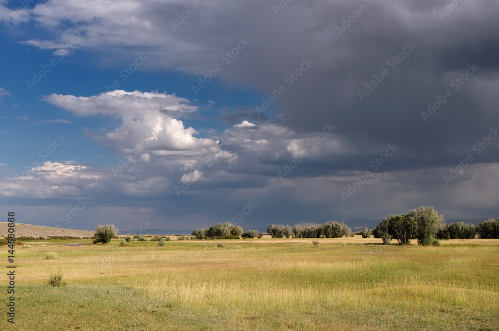 Sunny dry desert steppe with yellow grass trees and bushes under the menacing storm dark clouds Altai Siberia Russia