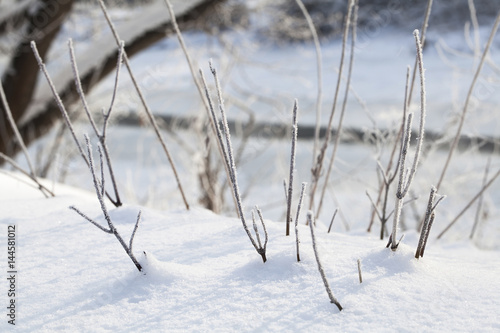 texture of natural snow and twigs