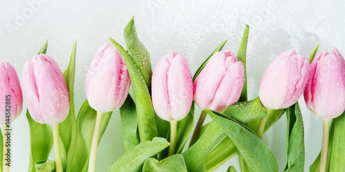 Fototapeta Naklejka Na Ścianę i Meble -  Pink tulips flowers