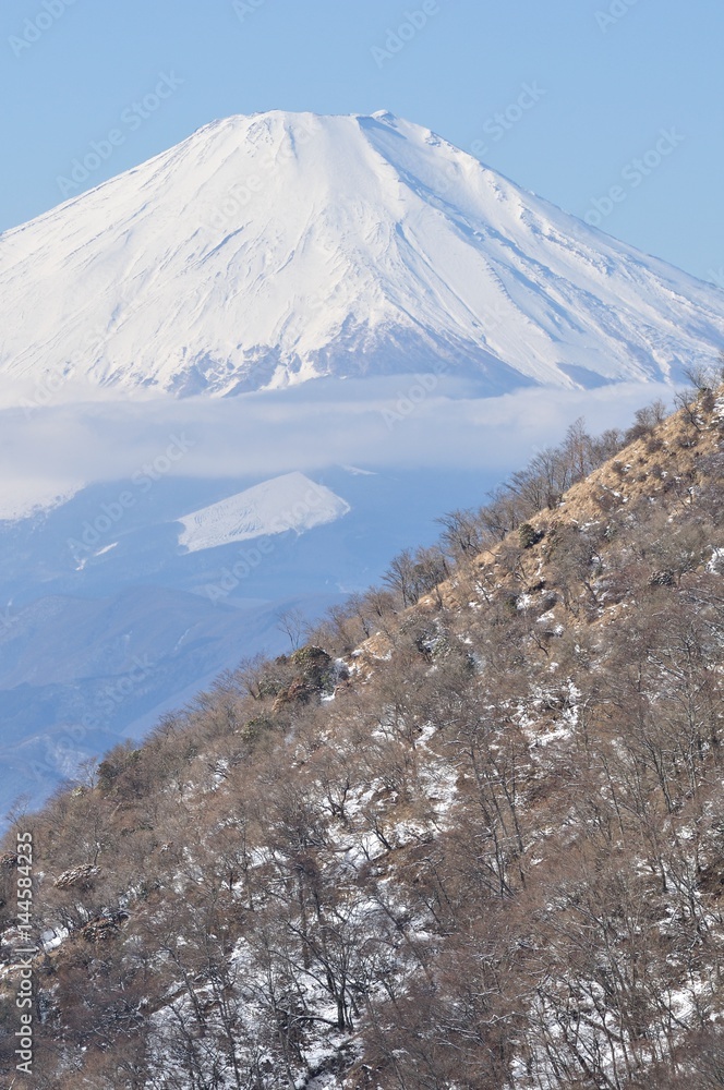 丹沢山地から望む富士山