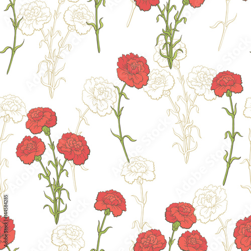 Carnation flower graphic color seamless pattern sketch illustration vector