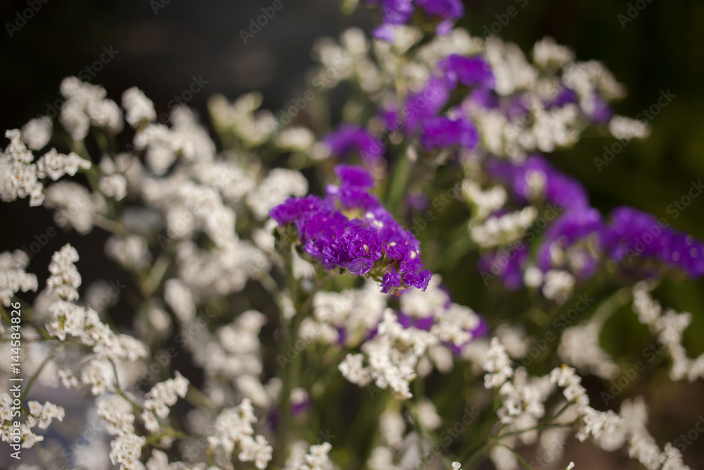 bunch of floral and flowers