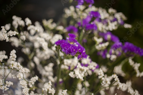 bunch of floral and flowers