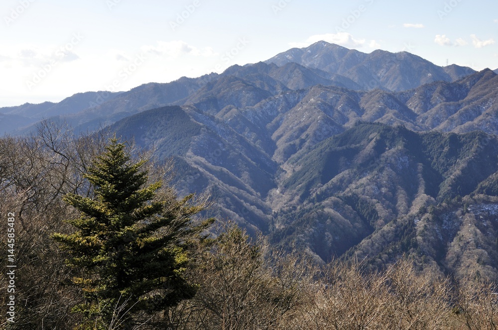 Obraz premium 仏果山より大山を望む