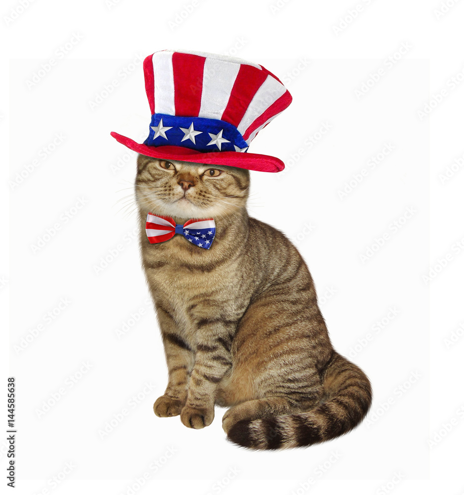 The cute cat is wearing a American patriotic hat and bow tie. White ...