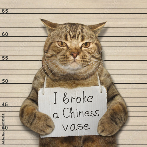 The bad cat broke a old Chinese vase. He went to prison for it.