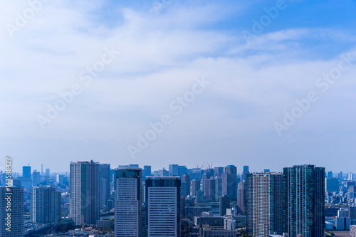 Aerial view of city against blue sky. Tokyo.