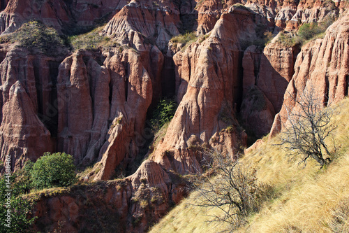 Red cliffs with bushes in foreground