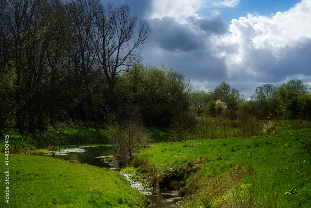 Idyllic brook flowing through a green meadow with trees and shrubs, blue sky with clouds in spring, rural natural landscape