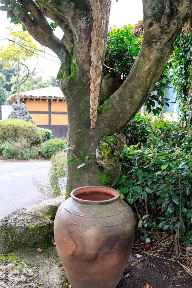 Jeju water jar