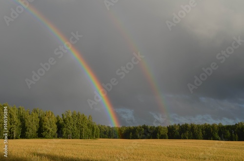 rainbow © Vera