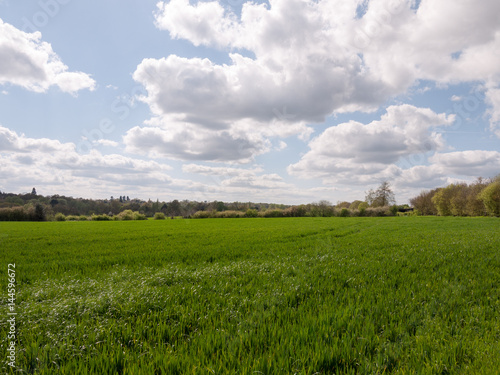 A Lovely Lush Meadow on A Clear Sping Day with Beautiful Clouds and Farm Fields of Plenty of Green Grass and open Space, Freedom and Happiness, and Wellbeing, with SkyFlare and High Exposure,