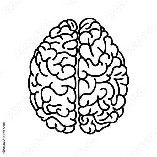 Flat style human brain top view doodle illustration