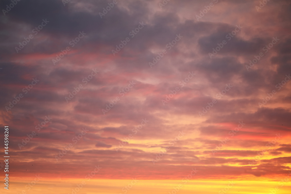 Bright colorful pink northern dawn in morning