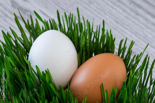 Eggs on background