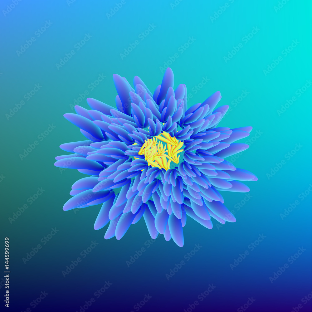 Vector drawn flower on blue background. An idea for a card, wedding invitation.