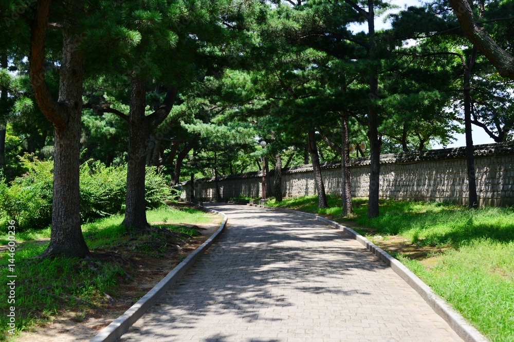 慶州遺跡巡り 慶州遺跡巡り